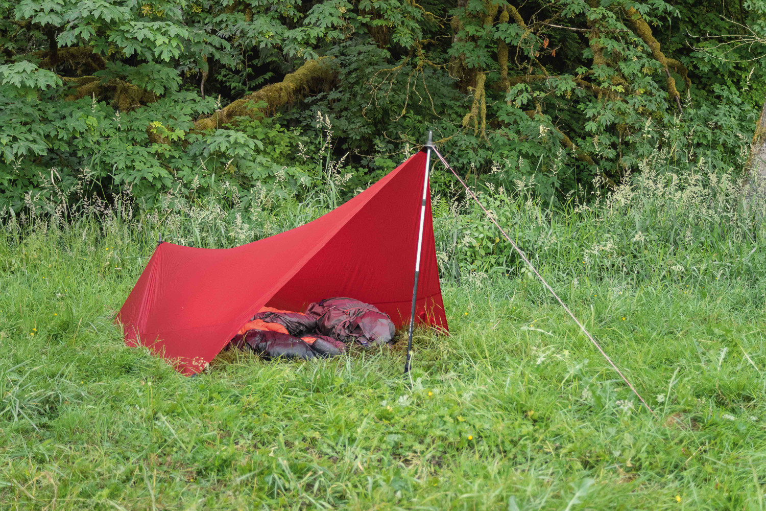 Hilleberg tarp 5 online