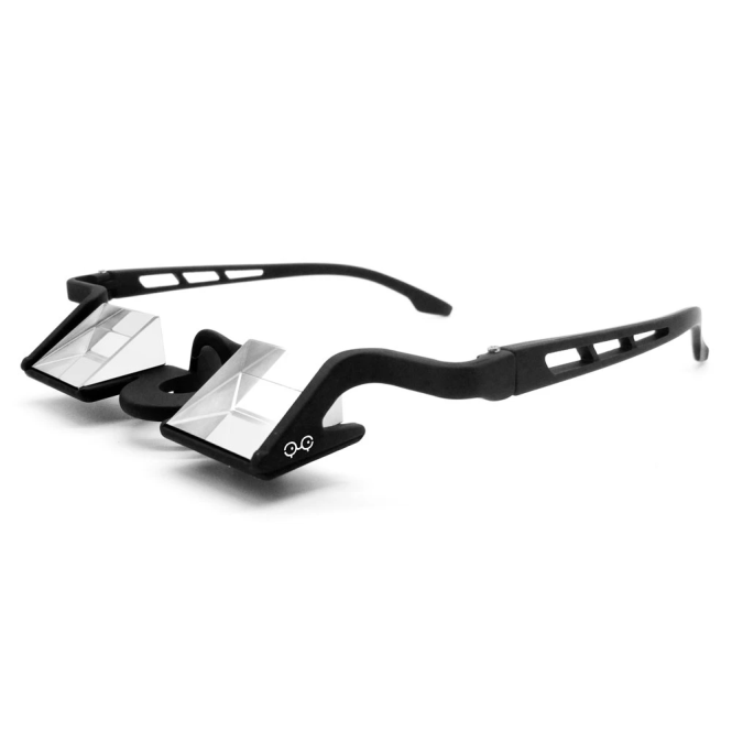 Belay Glasses Plasfun EVO