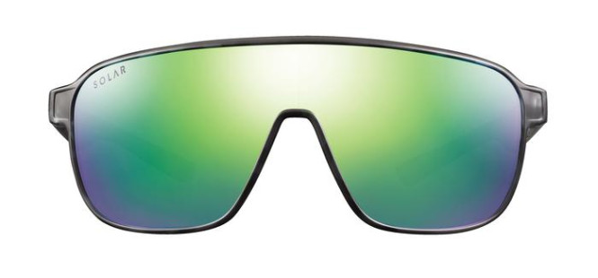 Discovery Tortoise Gray/Gray Polarized Cat. 3
